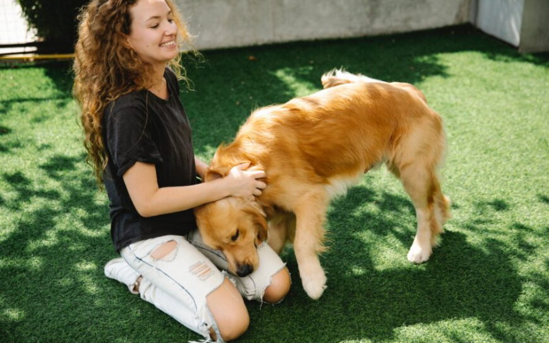 fake grass for dogs