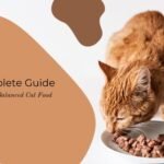 natural balance cat food