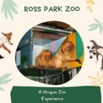 Ross Park Zoo: A Historic Wildlife Haven in Binghamton, NY