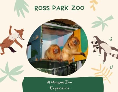 Ross Park Zoo: A Historic Wildlife Haven in Binghamton, NY