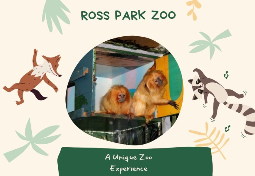 Ross Park Zoo: A Historic Wildlife Haven in Binghamton, NY