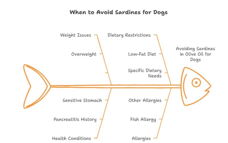 When to Avoid Sardines in Olive Oil
